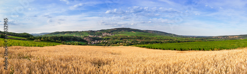 panorama champ de bl  