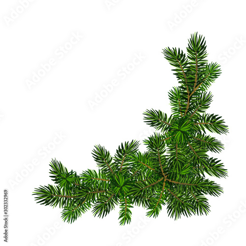 Two green spruce branches realistic. Christmas vector illustration