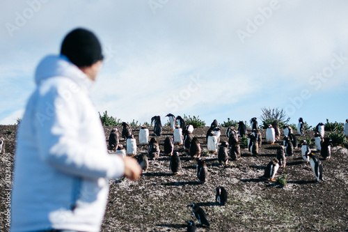 Hombre observando pingüinos en Ushuaia, Argentina