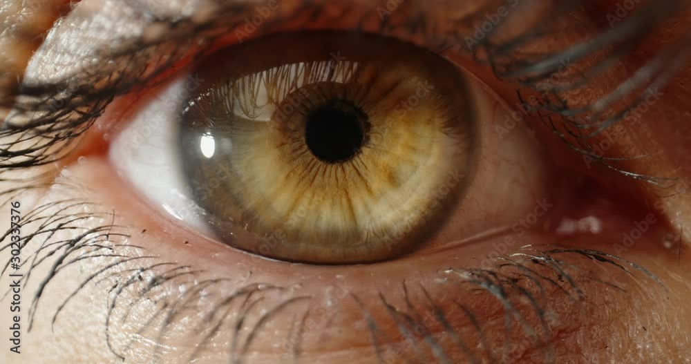 Extreme close up shot of beautiful female eye with green iris blinking and looking at camera - 4k footage