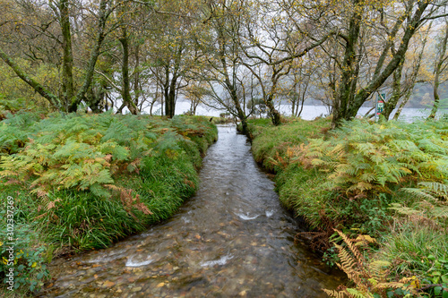 Stream in irish moutains, lake in the background during irish autumn