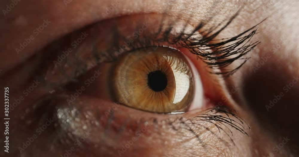 Extreme close up shot of female eye with makeup and dark green or brown iris looking around and blinking 4k footage