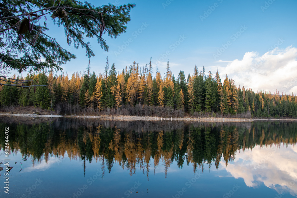 Montana autumn reflection