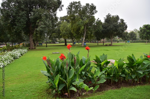 インドの首都のデリー　インド門と大統領官邸を結ぶラージパト通り沿いの公園　赤い花と白い花 photo