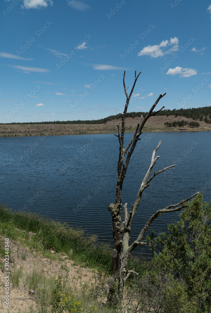 Vertical Quemado Lake, central New Mexico.