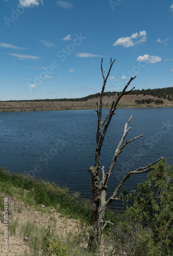 Vertical Quemado Lake, central New Mexico. © Michael