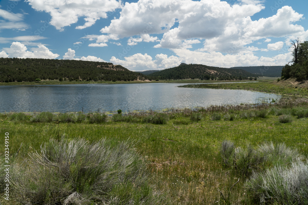 Fototapeta premium The shore grass and Quemado Lake, New Mexico.