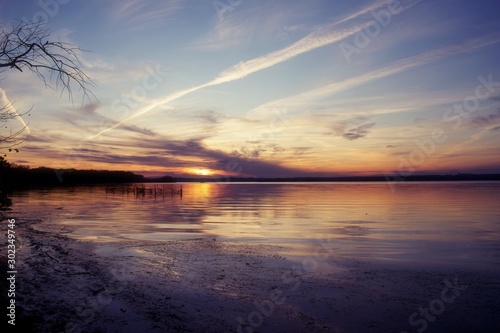 Sunset over Belmont Bay with silhouette barren tree branch and river bank.