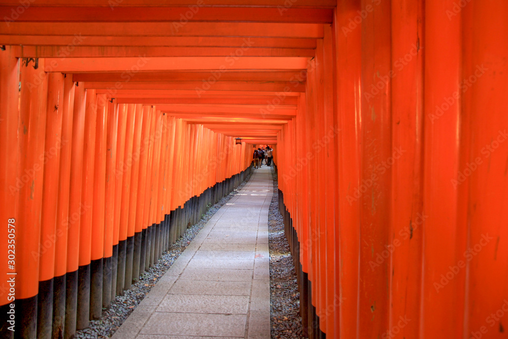 Dense row of torii gates at Fushimi Inari Shrine, Kyoto, Japan. The walking path through the tunnel of torii gates is one of the famous tourist destinations in Kyoto. Dense row of torii gates at Fushimi Inari Shrine, Kyoto, Japan. The walking path through the tunnel of torii gates is one of the famous tourist destinations in Kyoto.