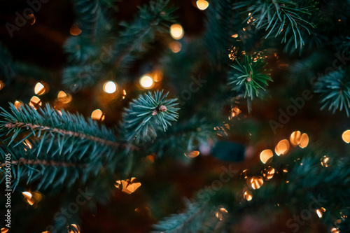 pine tree and Christmas lights bokeh