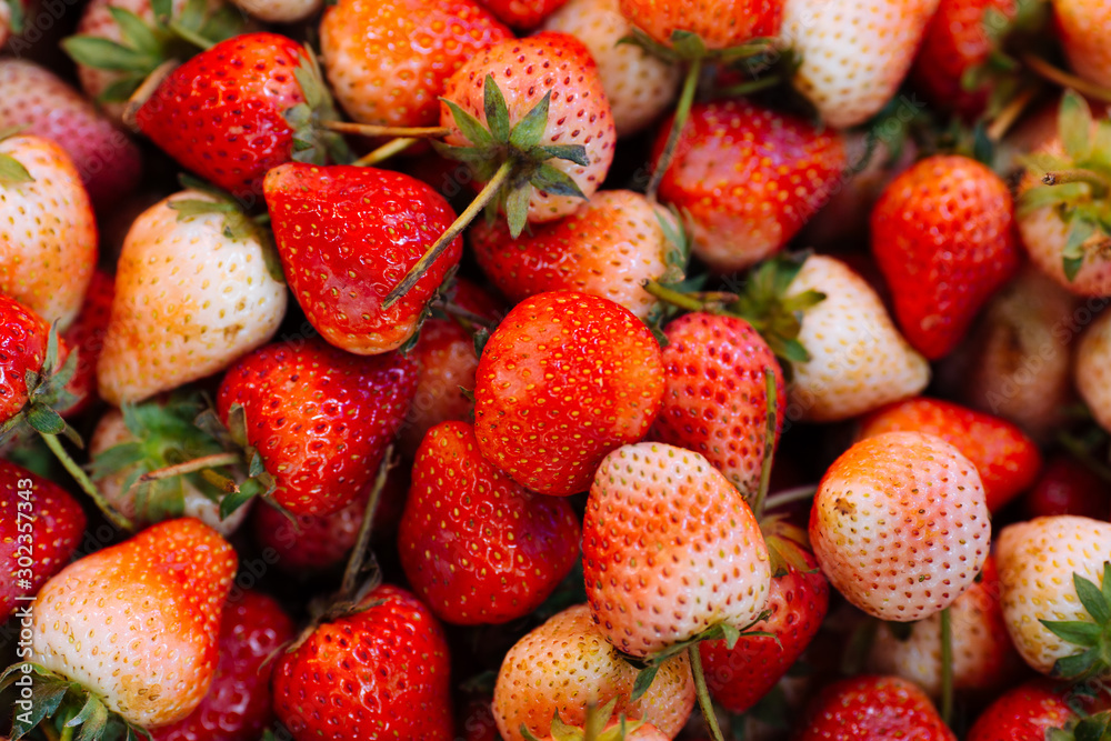 strawberry in the basket strawberry in the basket