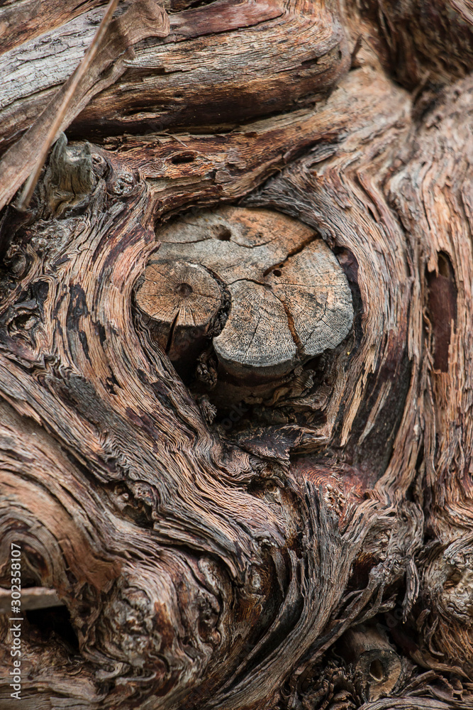 old wood in soft and blur style for the background
