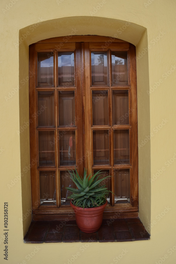 La ventana de la planta