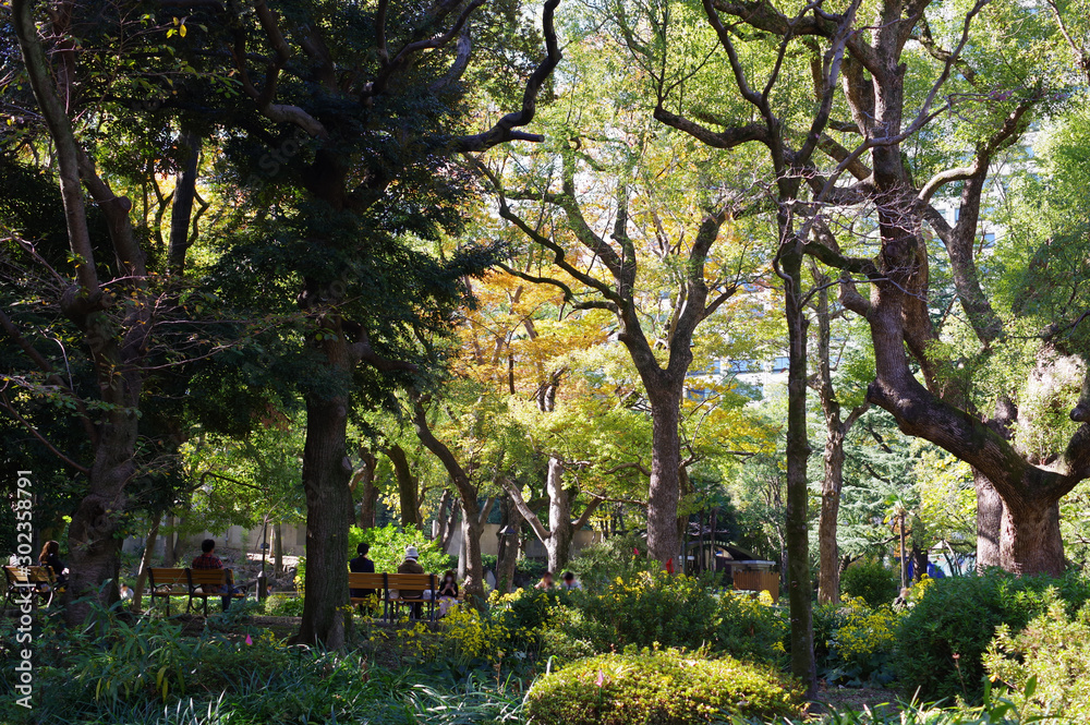 Naklejka premium 日比谷公園の風景