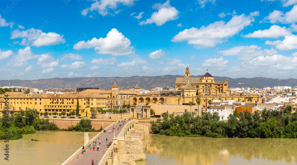 Fototapeta premium Roman Bridge in Cordoba