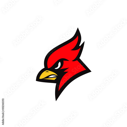 cardinal bird red logo with black background icon design vector