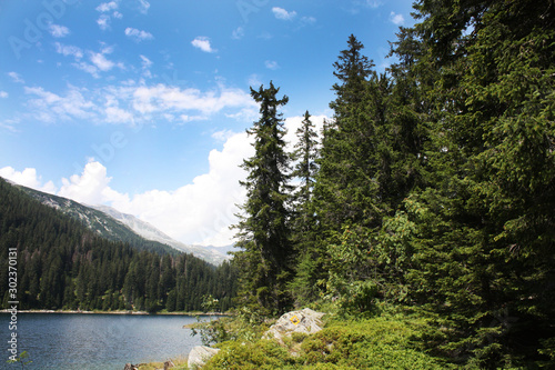 Obraz na płótnie Swiss lake in the spruce forest with fir-tree , Alps. Summer Switzerland. w salonie