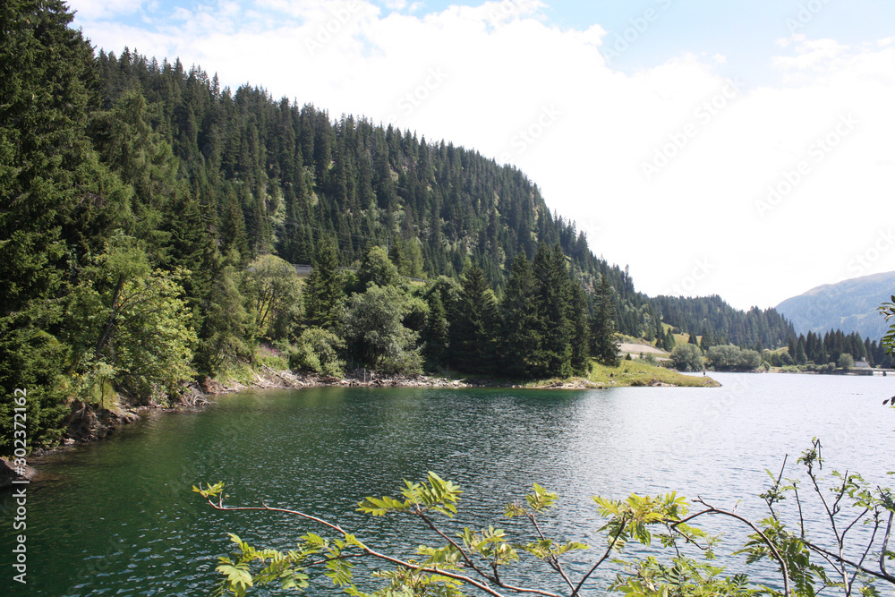 Swiss lake in the spruce forest with fir-tree , Alps. Summer Switzerland.