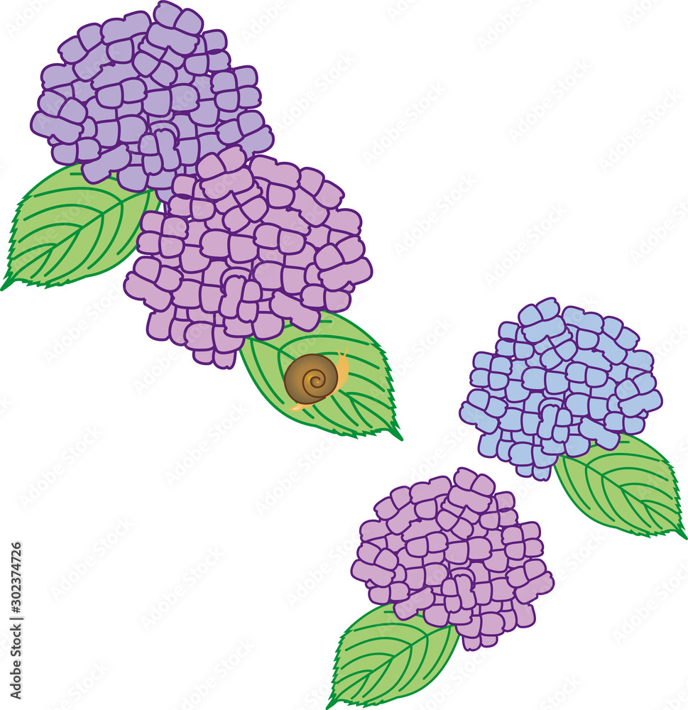 紫陽花 カタツムリ 葉 梅雨 可愛い イラスト Stock Vektorgrafik Adobe Stock