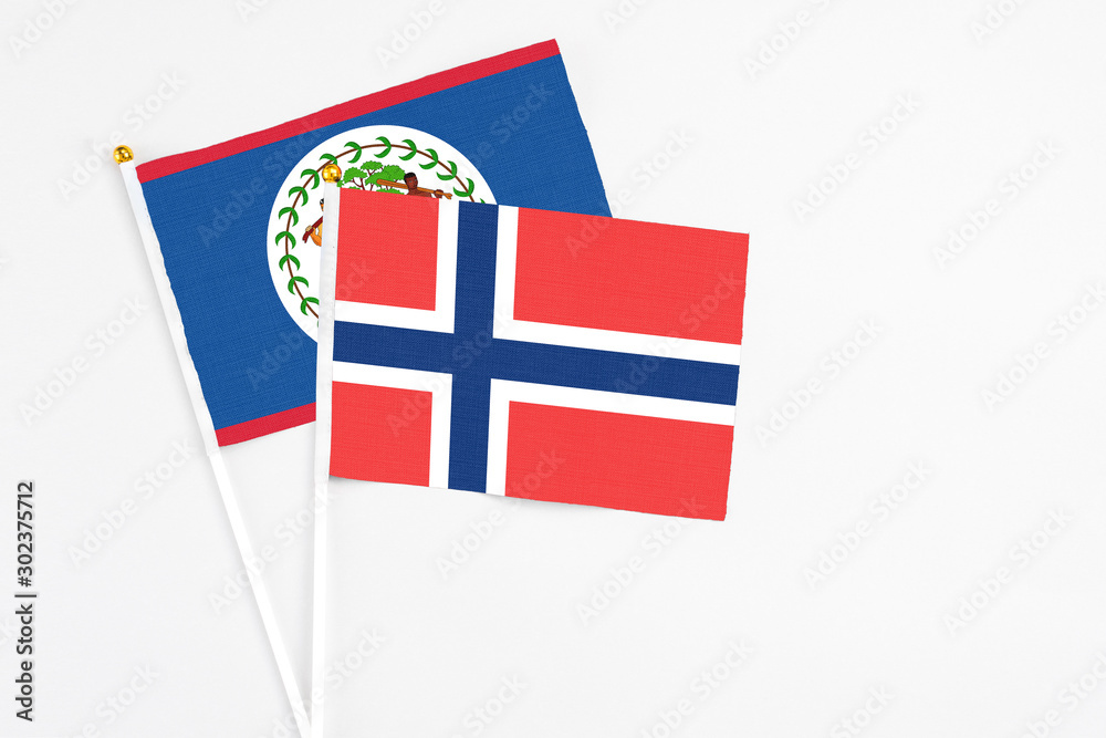 Norway and Belize stick flags on white background. High quality fabric, miniature national flag. Peaceful global concept.White floor for copy space.