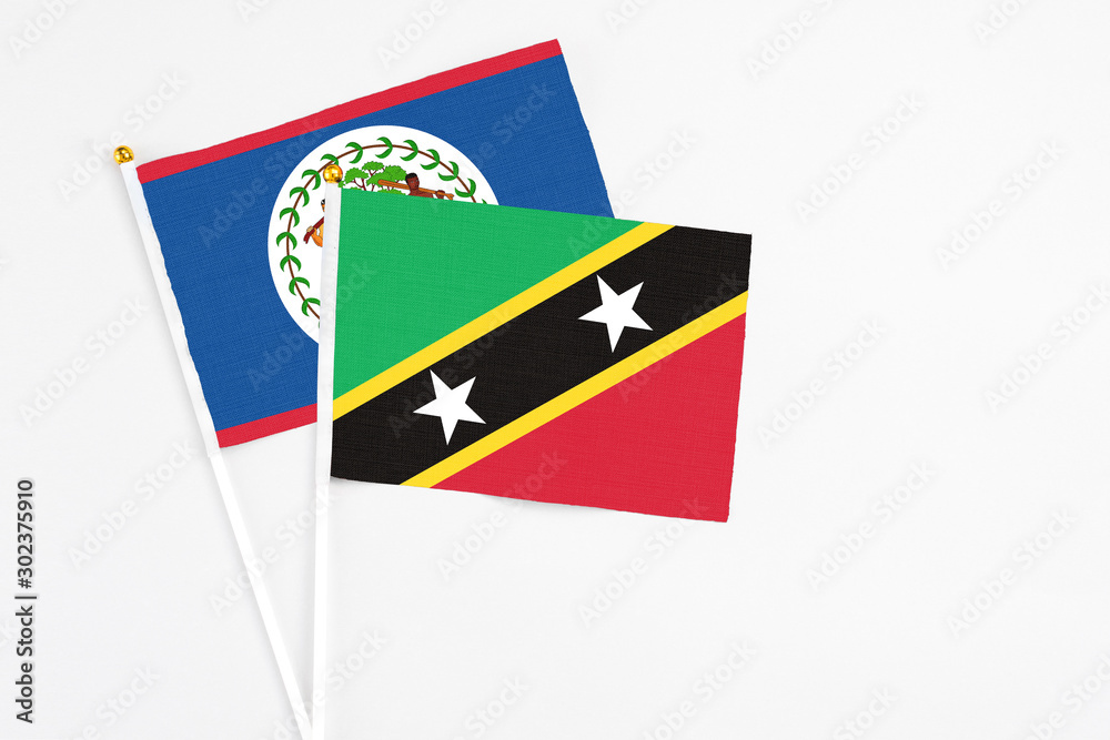 Saint Kitts And Nevis and Belize stick flags on white background. High quality fabric, miniature national flag. Peaceful global concept.White floor for copy space.