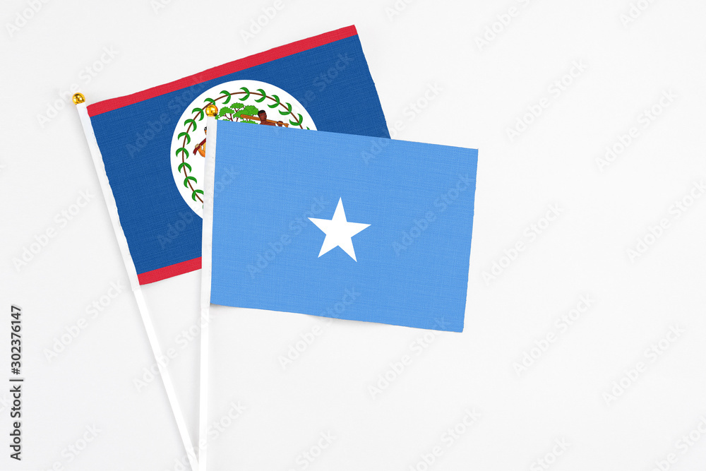 Somalia and Belize stick flags on white background. High quality fabric, miniature national flag. Peaceful global concept.White floor for copy space.