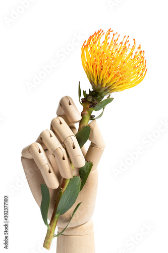 Wooden hand holding a flower, Pin cushion, closeup on white background.