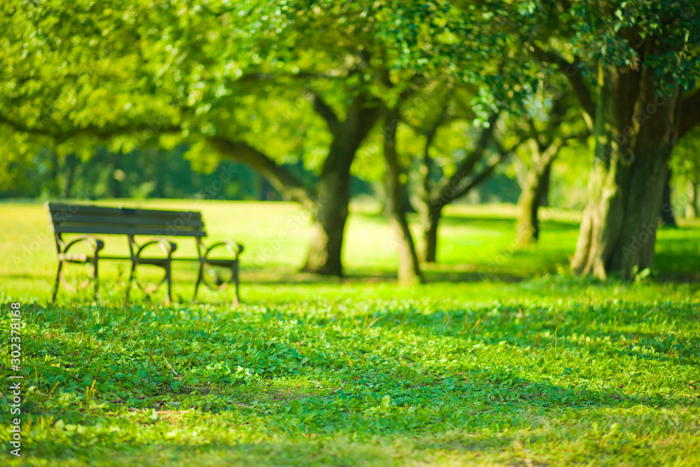 park bench blur bokeh background