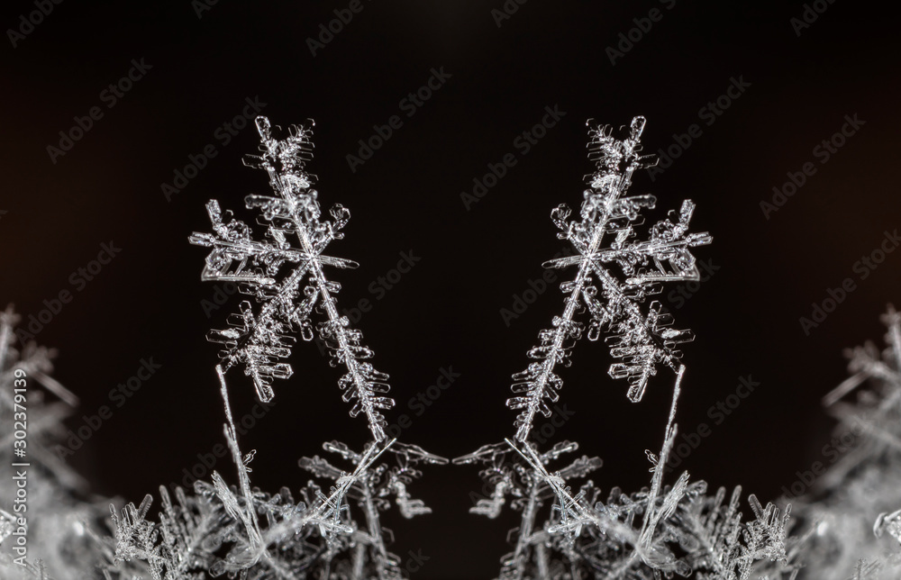 winter photo of snowflakes in the snow