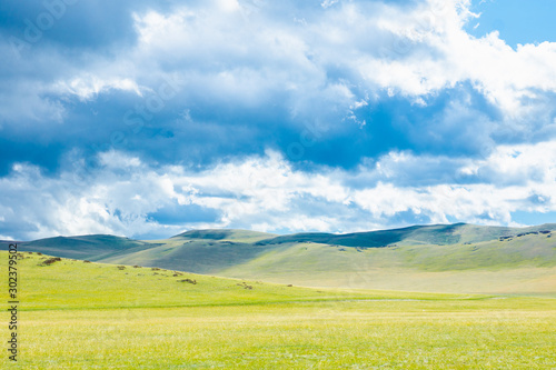 Steppe landscape with mountains on the background