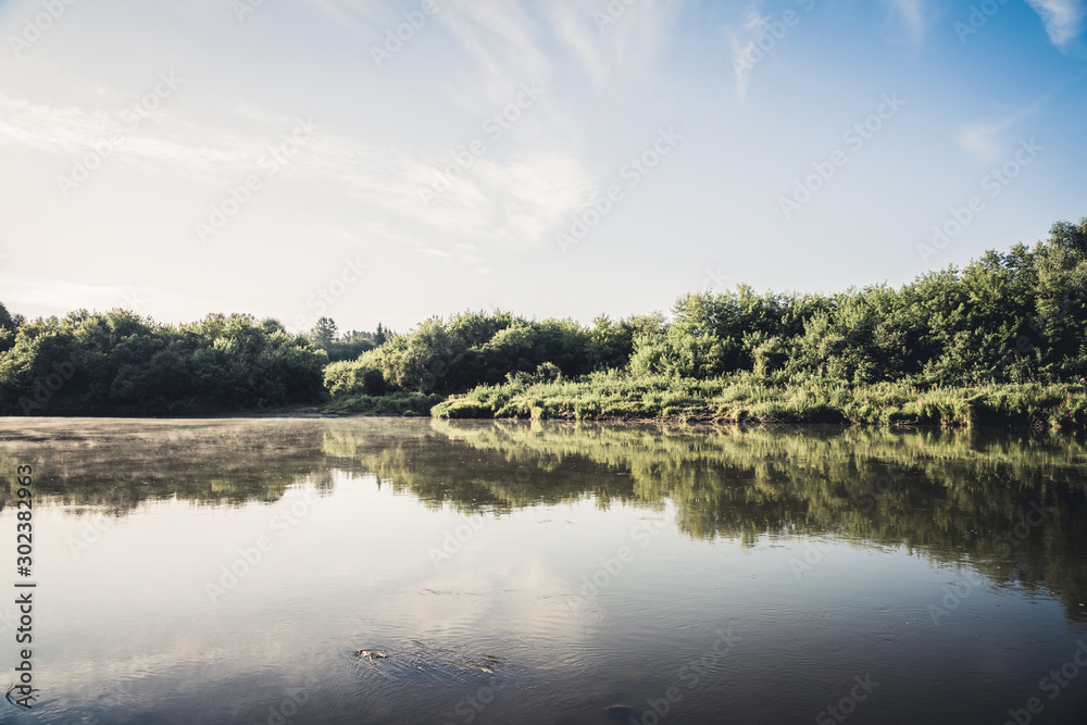 Calm river with forest on the shore