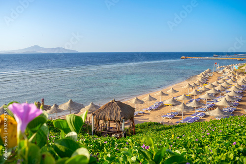 Romantic beach with lots of greenery and flowers. Beautiful landscape of the sea coast in the tropics. There are many of sun umbrellas and deck chairs on the beach.
