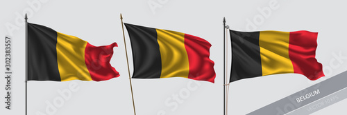 Set of Belgium waving flag on isolated background vector illustration