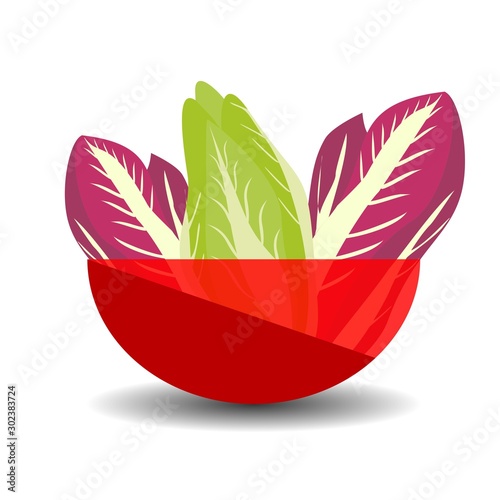 Purple and green napa or chinese cabbage in a red transparent bowl. Vector graphic illustration with shadow.