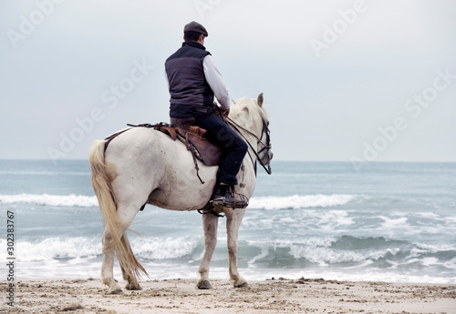 riding man and horse