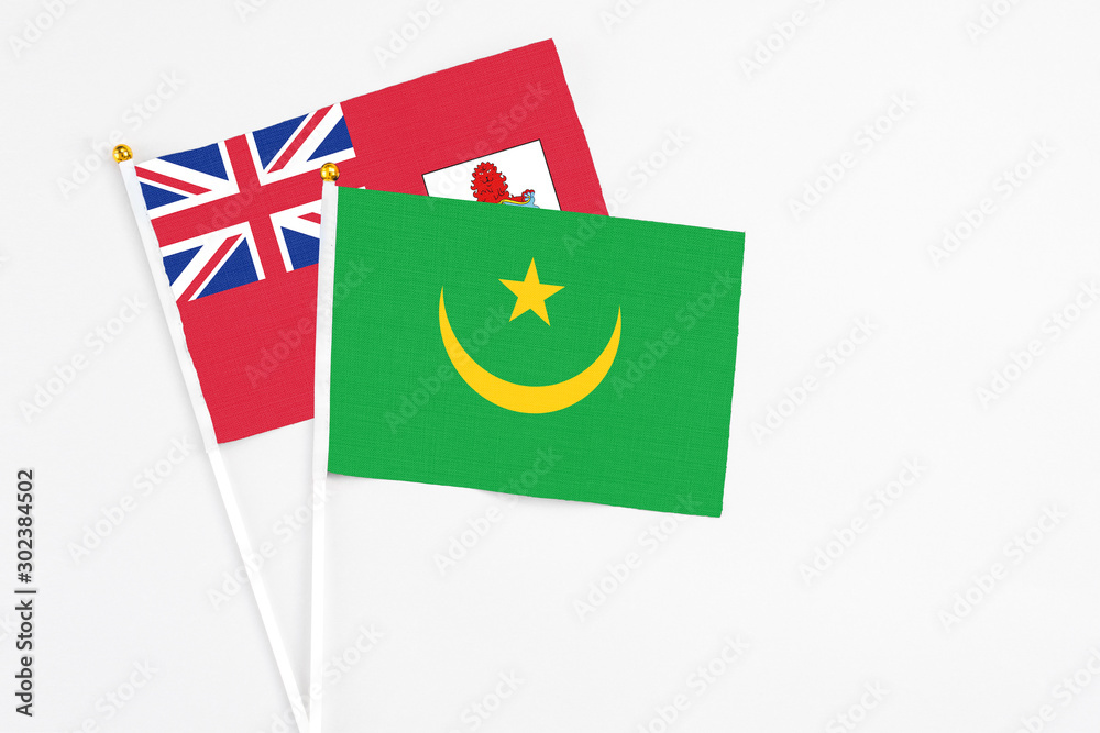 Mauritania and Bermuda stick flags on white background. High quality fabric, miniature national flag. Peaceful global concept.White floor for copy space.