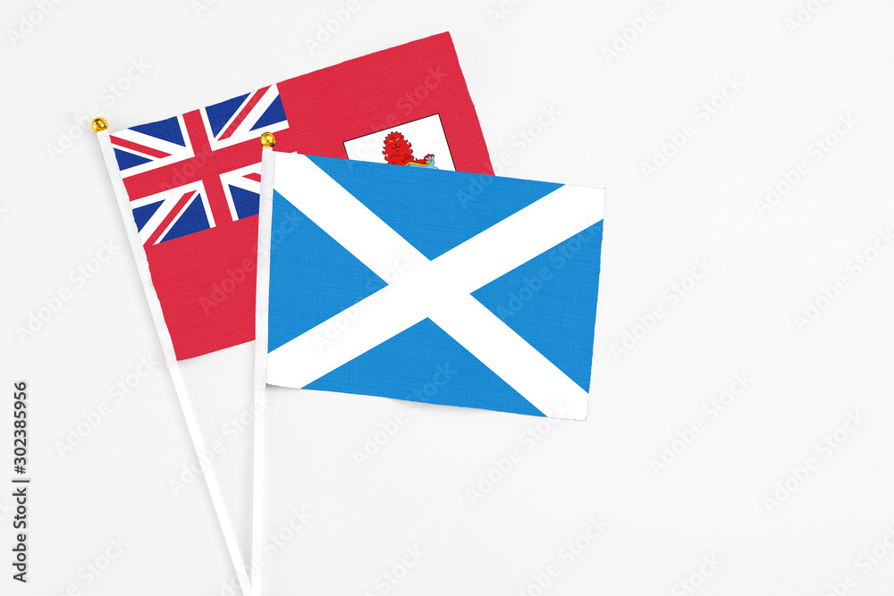 Scotland and Bermuda stick flags on white background. High quality fabric, miniature national flag. Peaceful global concept.White floor for copy space.
