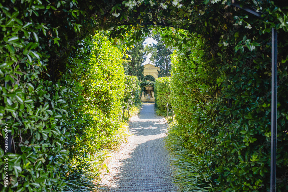 path, road, green, forest, trees, tree, nature, park, garden, landscape, way, summer, footpath, autumn, leaf, leaves, wood, tunnel, pathway, foliage, woods, grass, spring, alley path, road, green, forest, trees, tree, nature, park, garden, landscape, way, summer, footpath, autumn, leaf, leaves, wood, tunnel, pathway, foliage, woods, grass, spring, alley