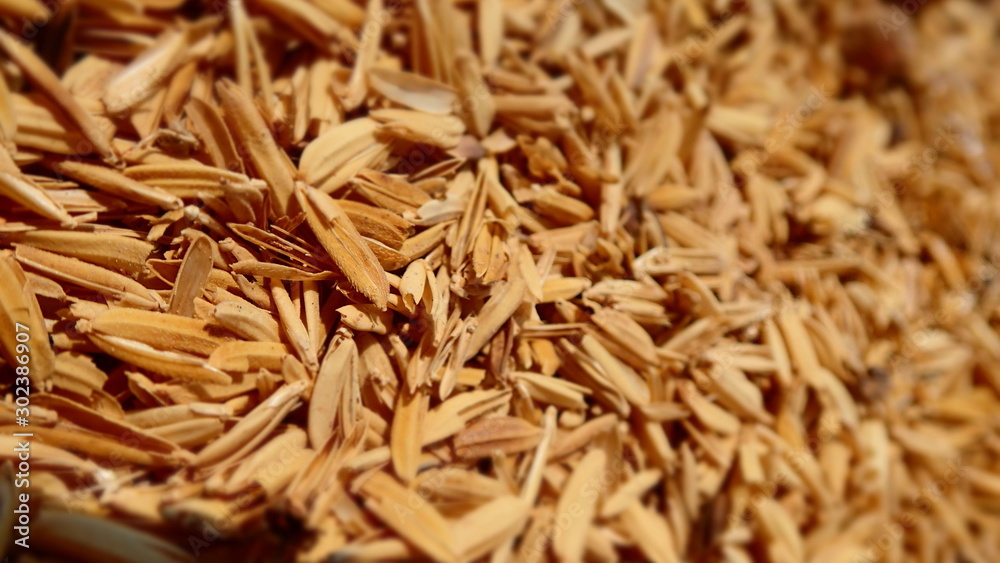 micro shot of Rice husk background. brown nature background. micro shot of Rice husk background. brown nature background.