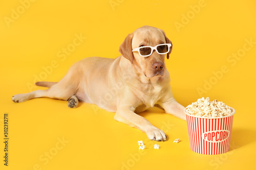 Adorable dog with bucket of popcorn and 3d glasses on color background