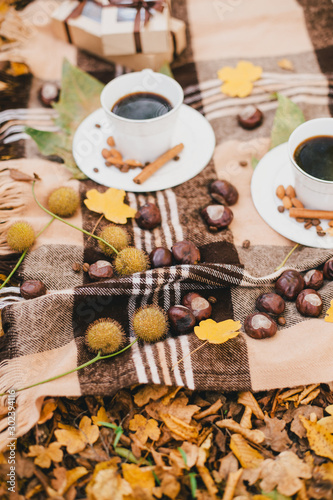 Autumn picnic with coffee and cookies.