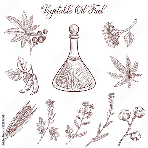 vector drawing vegetable oil fuel