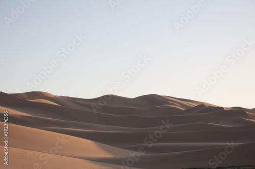 sand dunes in the desert