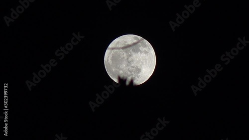 full moon in the sky 4K