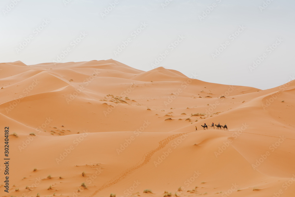 Beautiful desert landscape and caravan of camels crossing the scene in the background.