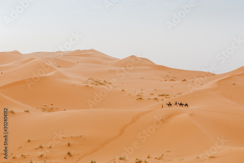 Beautiful desert landscape and caravan of camels crossing the scene in the background.