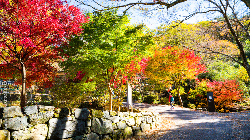 단풍이 아름다운 가을 길 Stock-Foto | Adobe Stock