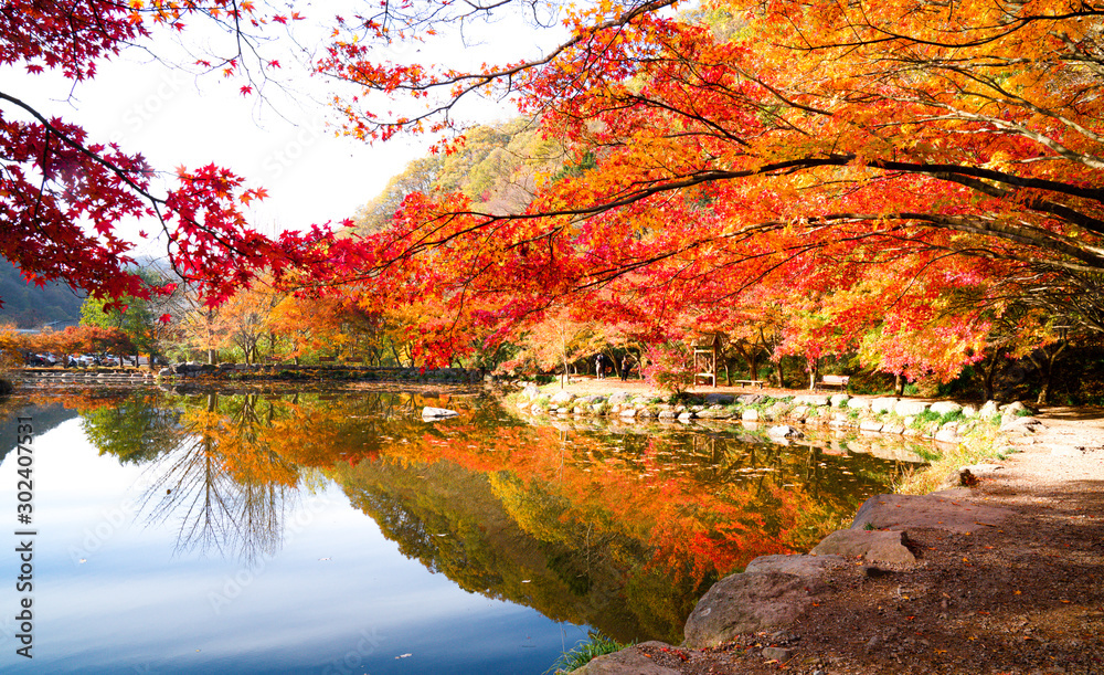 물에 비치는 아름다운 가을 풍경 Stock Photo | Adobe Stock