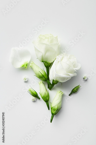 Flowers composition. Rose flower petals on white background. Gentle petals top view