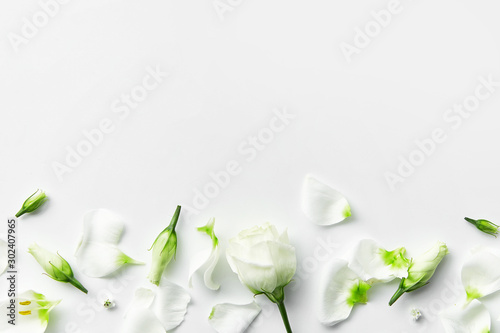 Flowers composition. Rose flower petals on white background. Gentle petals top view